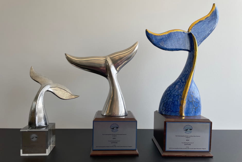 Environment trophies